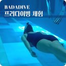이브 | 용인 프리다이빙 강습 체험 준비물 바다이브 입문 후기