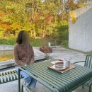 [경산 대형카페] 호미호시