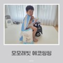 모모의여름 | 모모래빗 에코씽씽 통기성 좋은 여름기저귀 방수기저귀 후기