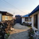 두레빌레 | [두레빌레]제주공항근처 감성숙소 단독주택 두레빌레 에어비앤비링크첨부 후기♡