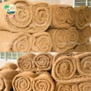 코코환경 이미지