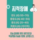 레크레이션(지적) 이미지