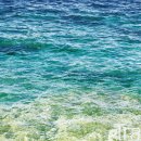 보물찾기 이미지