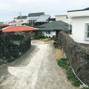 폭낭 올레집 | 제주한달살기 숙소 구좌읍 함덕 김녕 근처 폭낭올레집에서 마무리