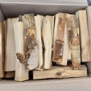 신생교회 앞 | #159.홍천 오도치캠핑장 명당 C4(25.10.23~24)