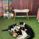 성주산건강마을 이미지