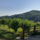 가시버시 민박 이미지