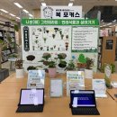 이초록디자인 이미지