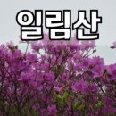 민들레김밥과분식 이미지