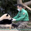 판다 이미지