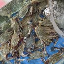 마도횟집 | [태안 여행] 마도 방파제 가족 밤낚시 &amp; 게국지 맛집 후기