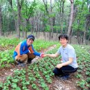 이미순농장 이미지
