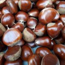 영재태양광발전소 이미지