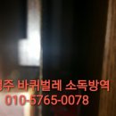 로취사이언스 네이버블로그
