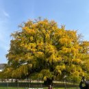 한입주개 이미지