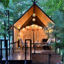 69당구장 | 원주 당일치기 글램핑 3번째 방문 후기 <지니의 캠프펜션>