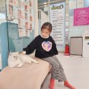 설렘고양이카페 이미지