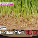 광성글로벌