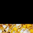 섭이네농장 이미지