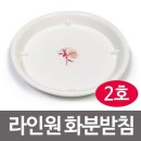 웰빙플러스 이미지