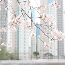 고유공동법률사무소 이미지