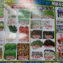 둔포큐마트