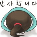 XPL 태권도 이미지