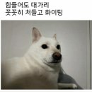 더(The)라온 | 결혼준비 이것저것 상반기 기록 2 (feat. 르한스 디렉팅 미팅, 비바탐탐 드레스 피팅, 라온하제 혼주한복)