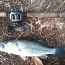 집이곡지 이미지