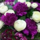 귀빈플라워 - 연천군 전곡로 178 | 귀빈플라워