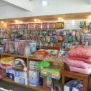 오도꾸 애견샵 이미지