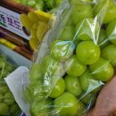 동팔이네 이미지