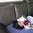 the 조은 안경 이미지