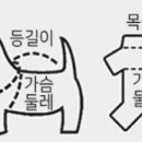 멍글몽글 이미지