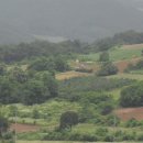 독순로11길 이미지