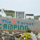 더좋은숨