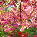 완산-4 이미지