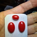 붉은황소 이미지