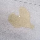 래온동물병원 이미지