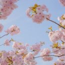 하남체육공원 이미지