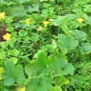 반갑소 농장 이미지