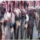 잠뱅이수산 이미지