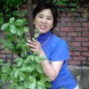 행운 이미지