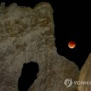 엔틱가든 네이버블로그