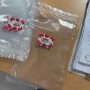 꿈속에그린 2 민박 | 경북 청도 열대농원 관람 + 미니사과&amp;바나나 수확체험 l 꿈그린농원