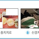 마음에치과의원 네이버블로그