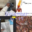 스시와다 | 가끔 난 사라질거야