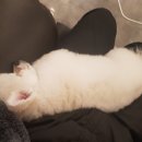 예뻐지개 이미지