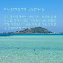 바니네민박집