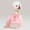 메종드퍼피 이미지